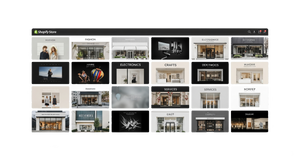 What is a Shopify Theme and What Does it Mean for Your Business?